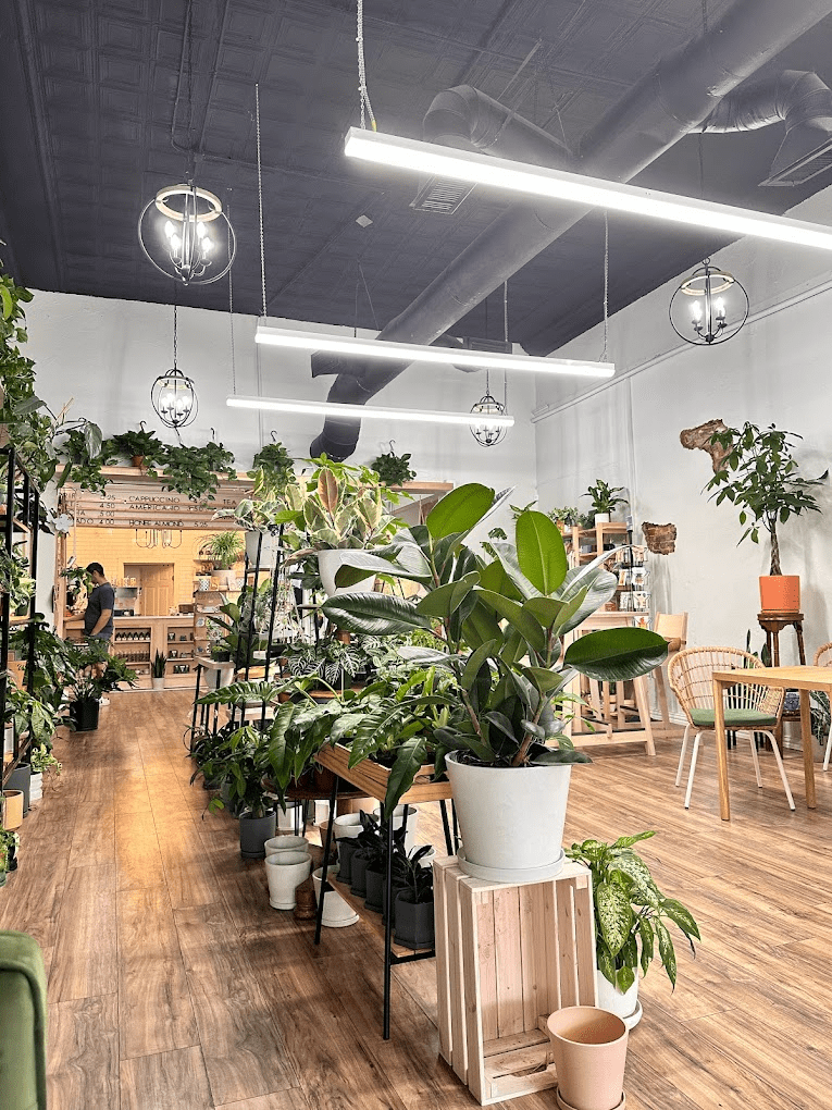 Coffee is always a good idea…